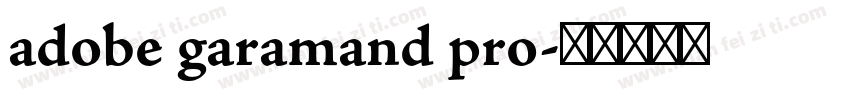 adobe garamand pro字体转换